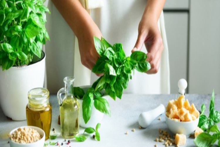 Fesleğen Hakkında Bilinmesi Gerekenler 