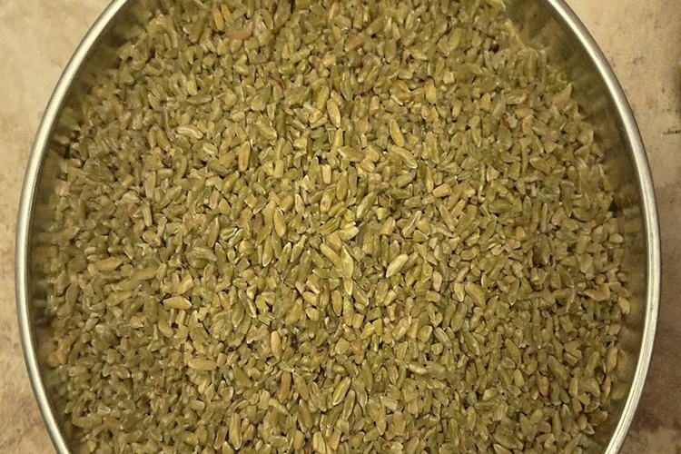 Firik Bulguru Gluten İçerir Mi?