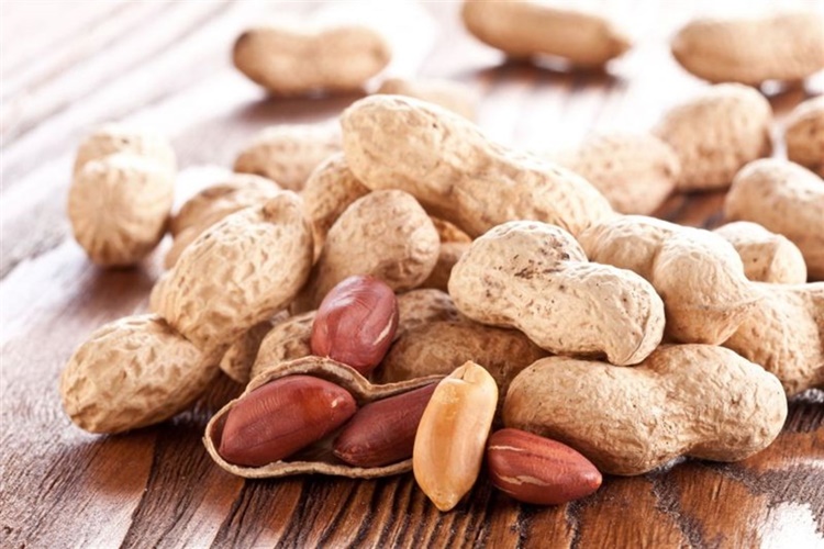 Fıstık Bozulur Mu? Güncel Oku