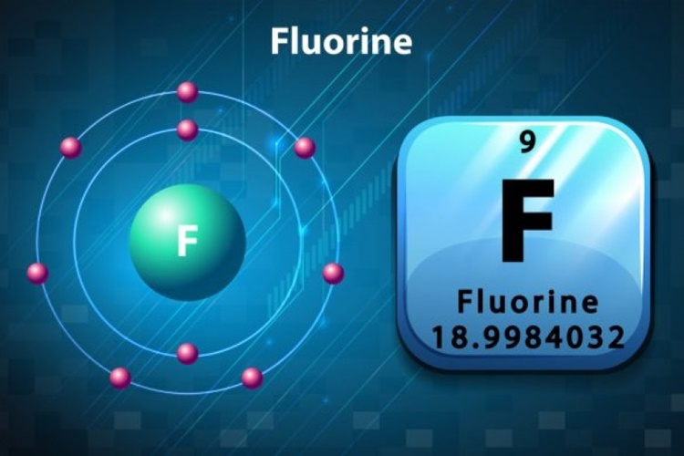 Flor Elementi Nedir?