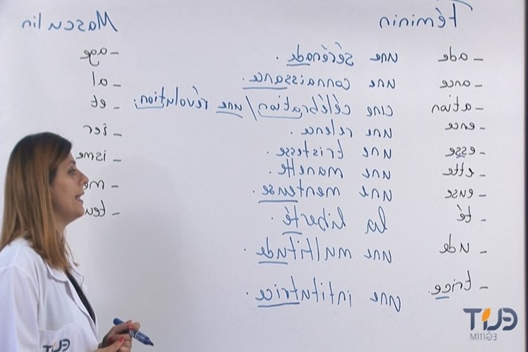 Fransızca Öğrenmek Hakkında Merak Edilen Bilgiler