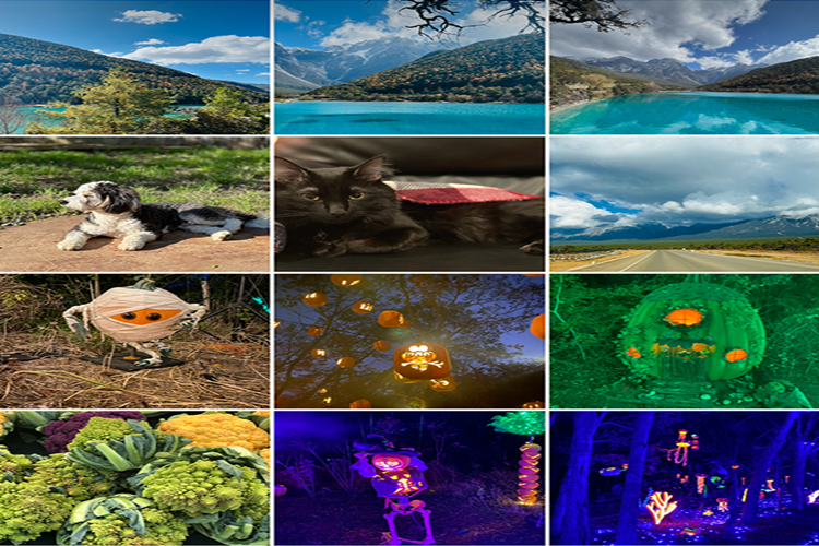 Galeriden Fotoğraf Silince İcloud Silinir Mi?