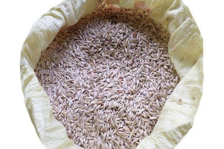 Garıklı Unu Gluten İçerir Mi?