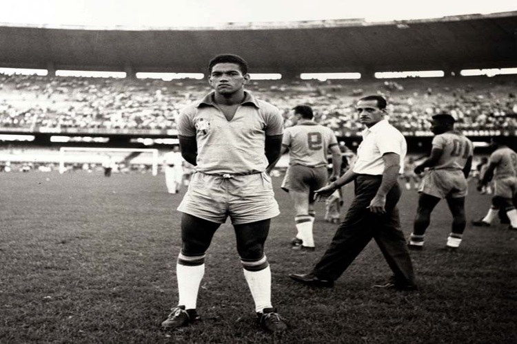 Garrincha Neden Öldü? 