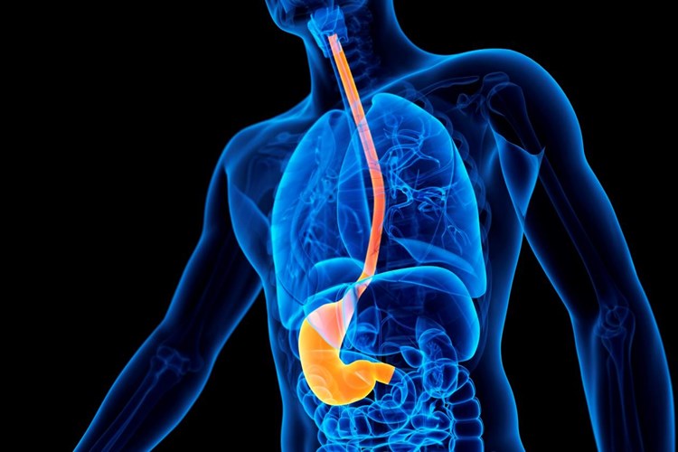 Gastrit Mide Ağrısı Yapar Mı?