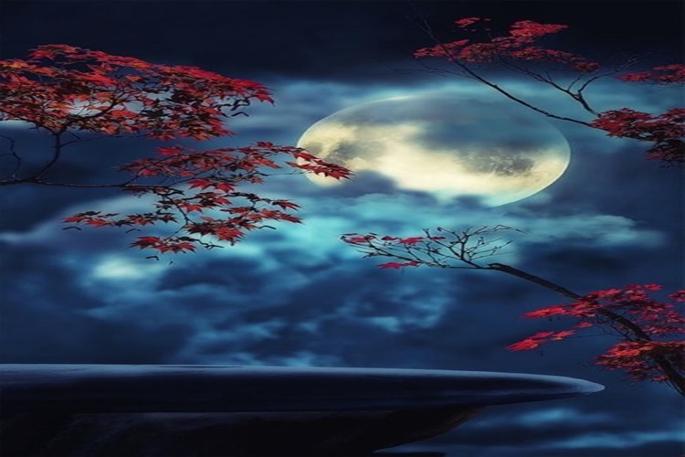 Gece Fotoğraf Çekme Hakkında Merak Edilen Bilgiler