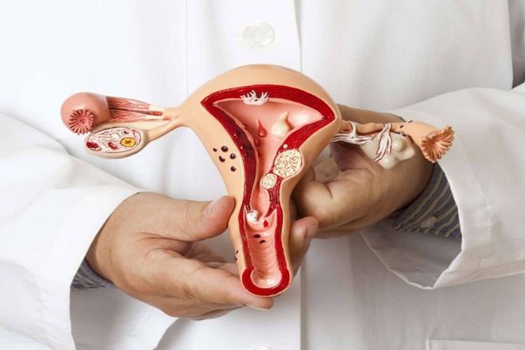 Geçmeyen Vajinal Enfeksiyon Neden Olur?