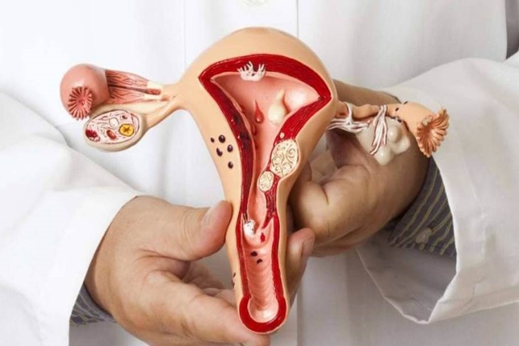 Genital Estetik Nasıl Olur?