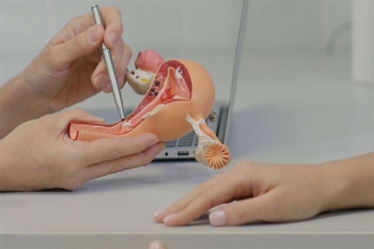 Genital Estetik Sonrası İyileşme Nasıl Olur?