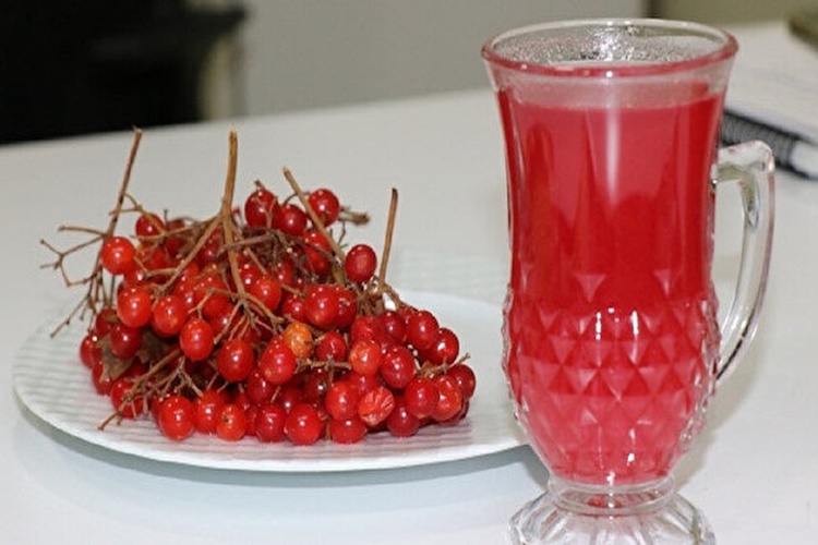 Gilaburu Suyu İle İlgili Merak Edilenler