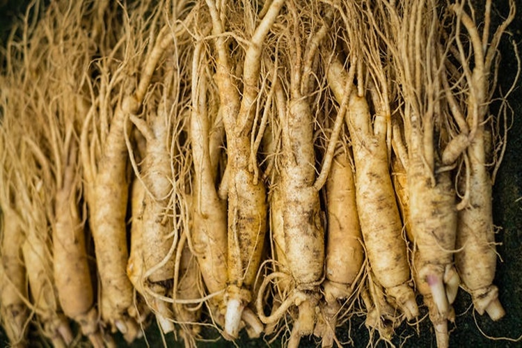 Ginseng Zararlı Mı?