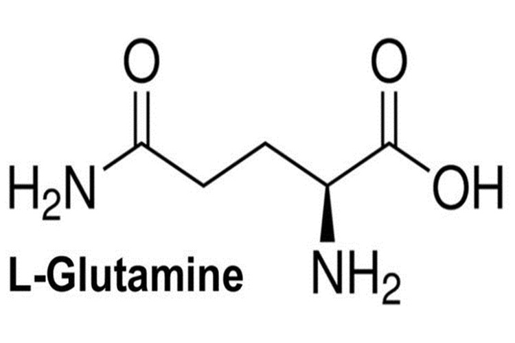Glutamin Enerji Verir mi?
