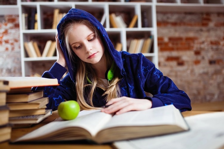 Goethe Sertifikası Ne İşe Yarar?