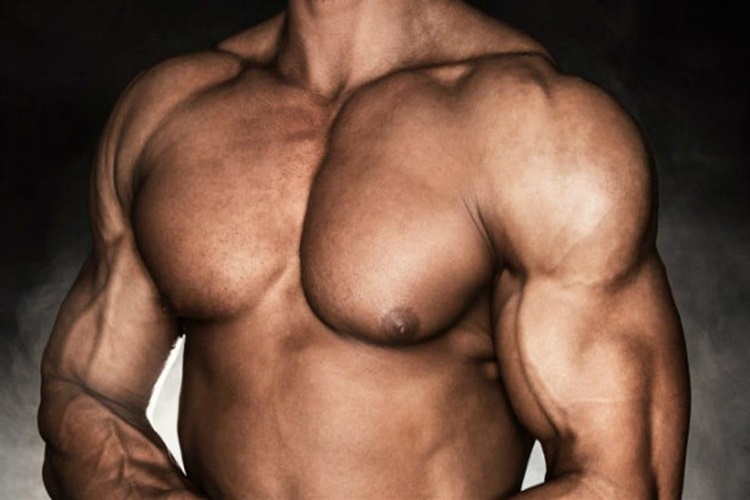 gogus kasi nasil yapilir guncel oku gogus kasi nasil yapilir guncel oku