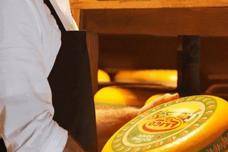 Gouda Peyniri Nereden Alınır? 