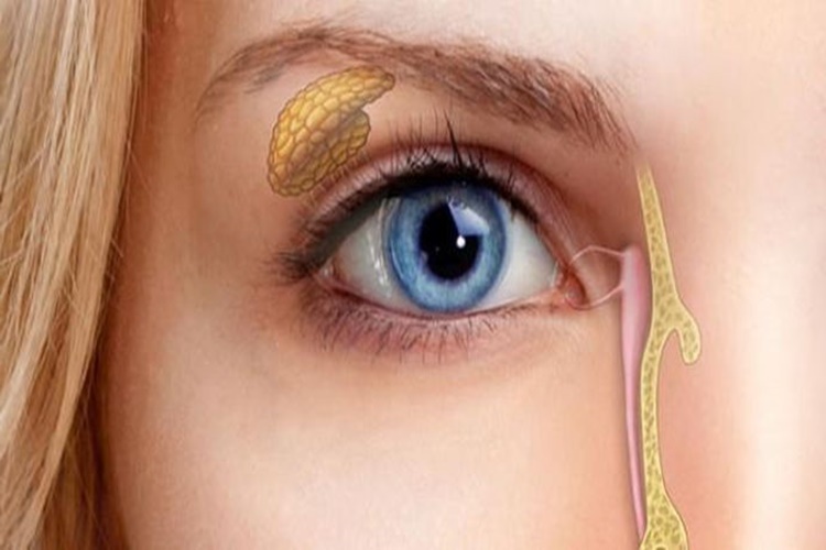 Gözyaşı Kanalı Tıkanıklığı Hangi Damla Kullanılmalıdır?