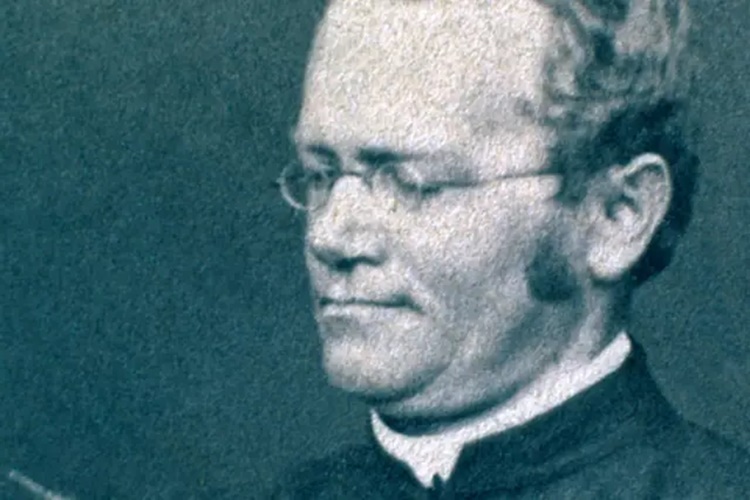 Gregor Mendel Nerede Doğdu?