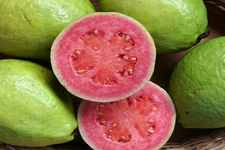 Guava Ağacı Nasıl Kurutulur?