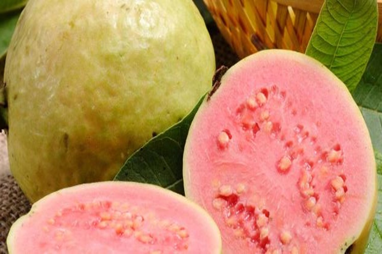 Guava Meyvesi Faydaları Nelerdir?