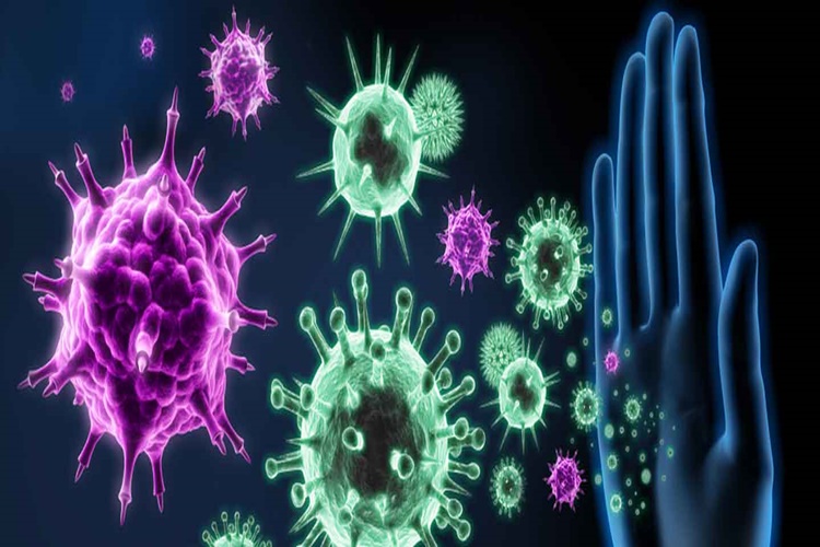 Güçlü Bağışıklık Sistemi Nedir? Beslenme Nasıl Olmalı?