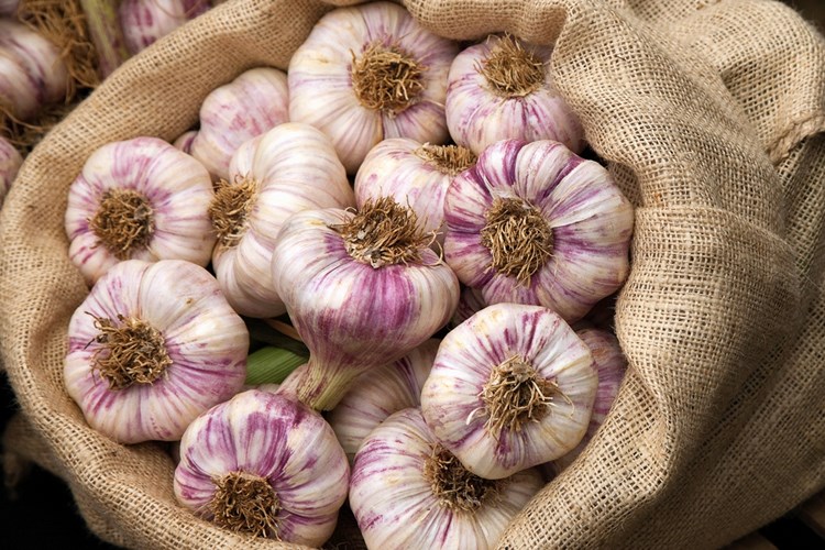 Günde Kaç Diş Sarımsak Yemek Lazım?