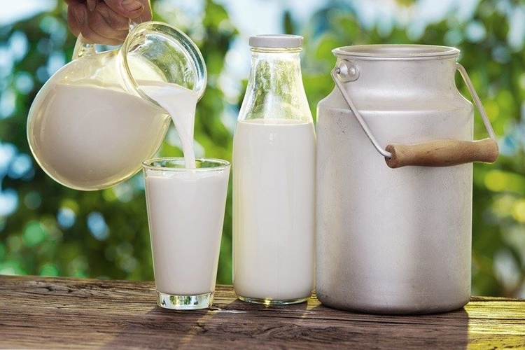 Günlük Süt Kaç Günde Bozulur?