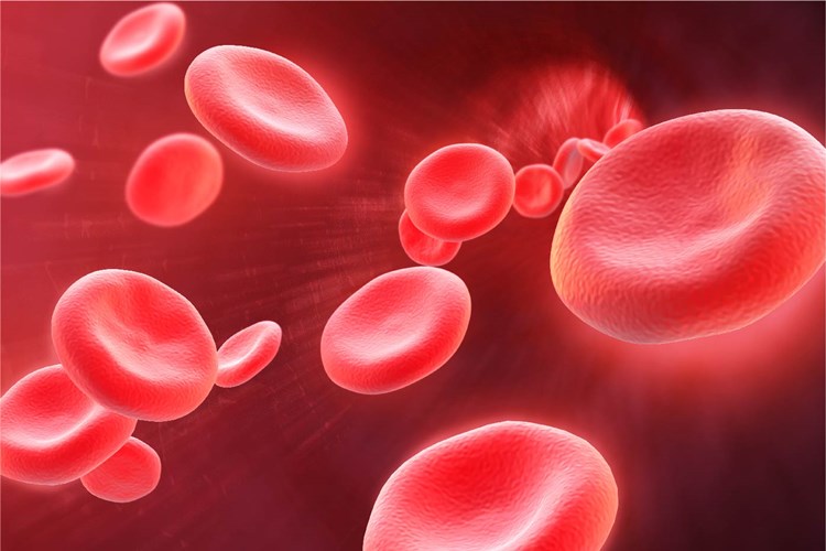 Gyno Ferro Sanol Kan Sulandırır Mı?