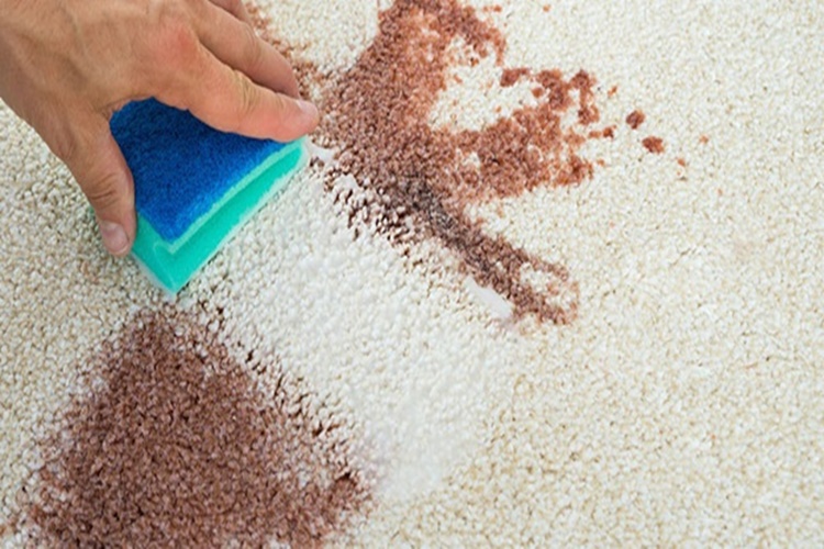Halıdan Nesquik Lekesi Nasıl Çıkar?
