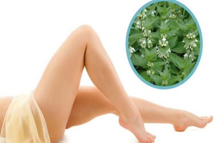 Hamam Otu Bikini Bölgesine Sürülür Mü?