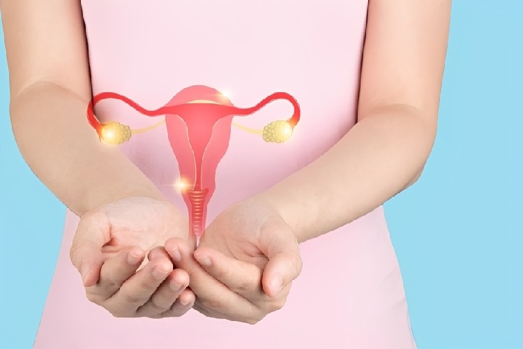 Hangi Besinler Yumurtalıkları Çalıştırır?