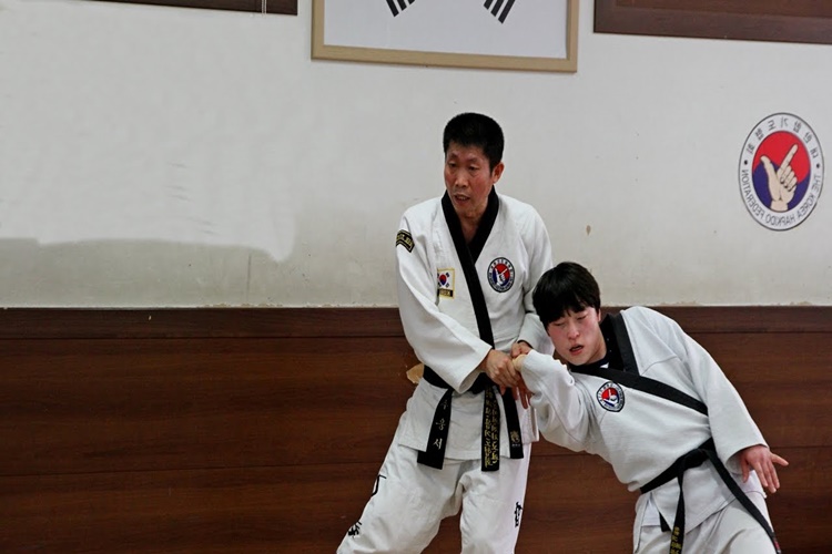 Hapkido Hareketleri Hangileri?