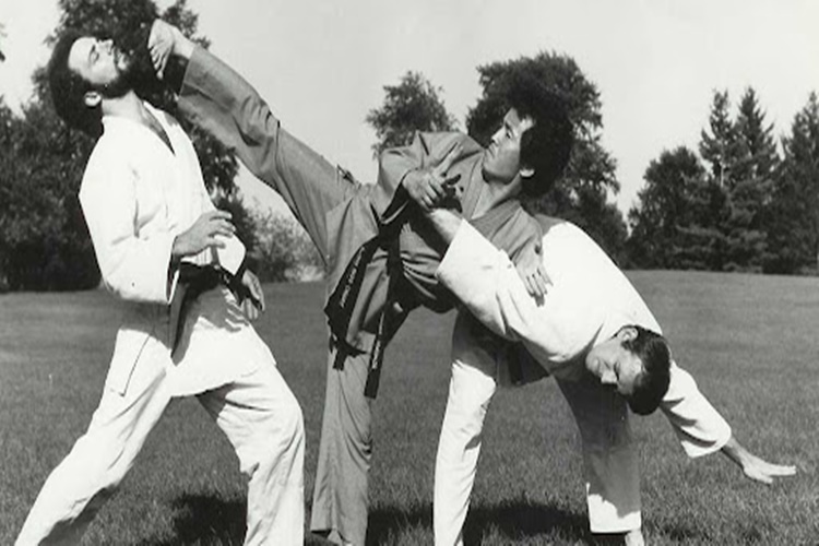 Hapkido Nasıl Bir Spordur?