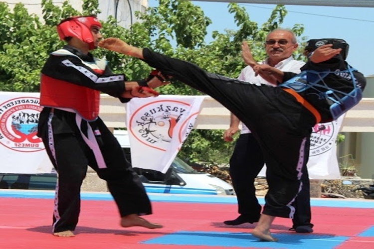 Hapkido Nasıl Oynanır?