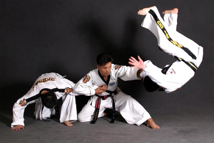 Hapkido Nedir?