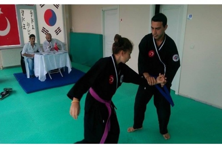 Hapkido Teknikleri Nelerdir?