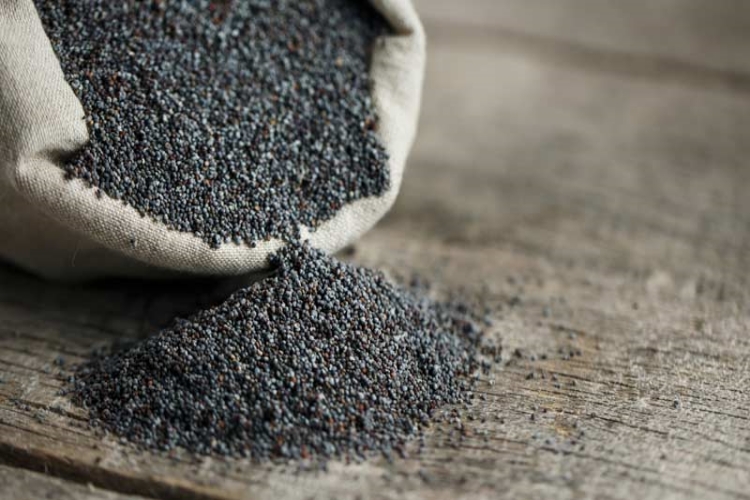 Haşhaşta Gluten Var Mı?
