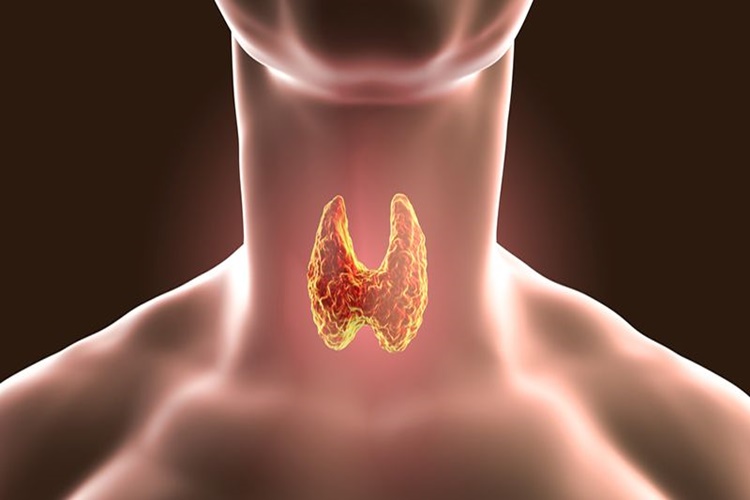 Hashimoto Hastalığı Nedir?