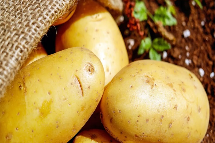 Haşlanmış Patates Neden Acı Olur?