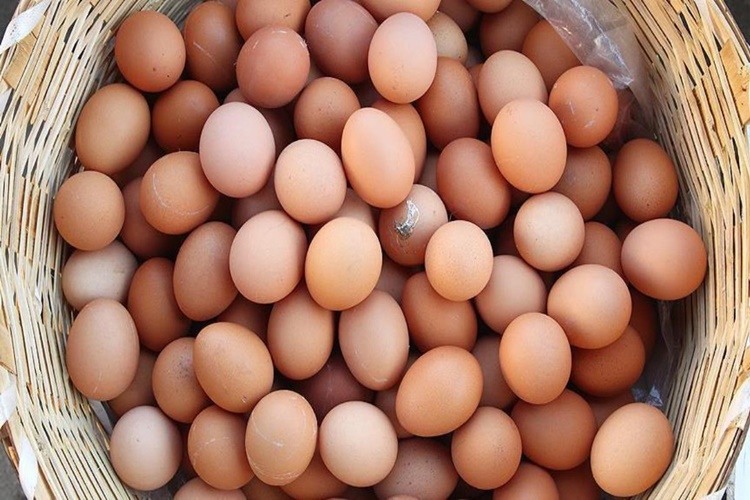 Haşlanmış Yumurta Hemen Bozulur Mu?