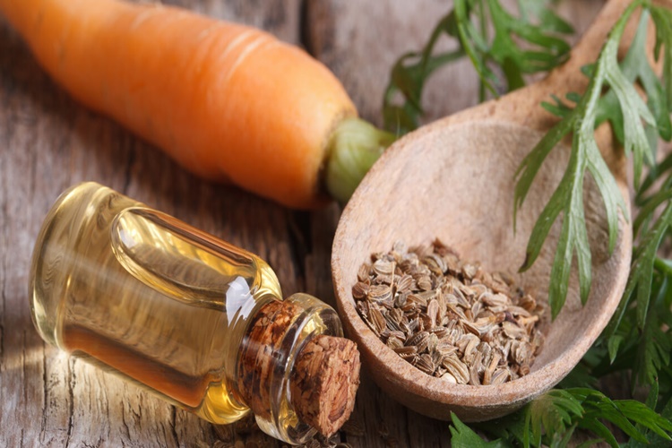 Havuç Yağı Hakkında Merak Edilenler