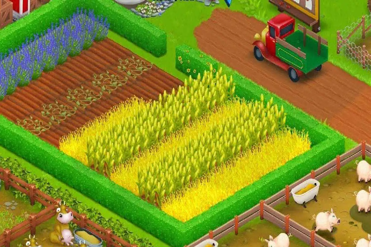 Hay Day İçerik Üreticisi Kodu Ne İşe Yarar?