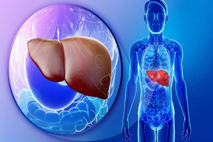 Hepatit A Olan Kişi Çalışabilir Mi?