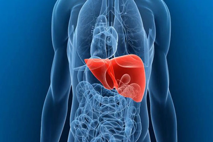 Hepatit A Polisliğe Engel Mi?