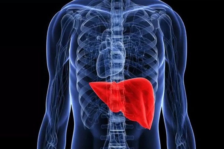Hepatit A Solunum Yoluyla Bulaşır Mı?