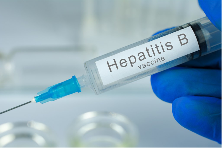 hepatit B ne zaman negatif olur?