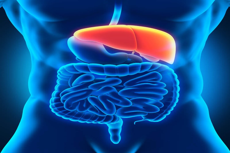 Hepatit B İlaçları Nelerdir?