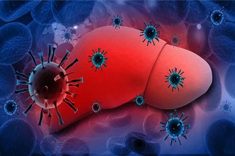 Hepatit B'nin Tedavisi Var Mı?