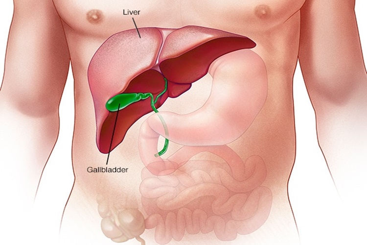 Hepatit C Hastalığından Korunmanın Yolları Nelerdir?
