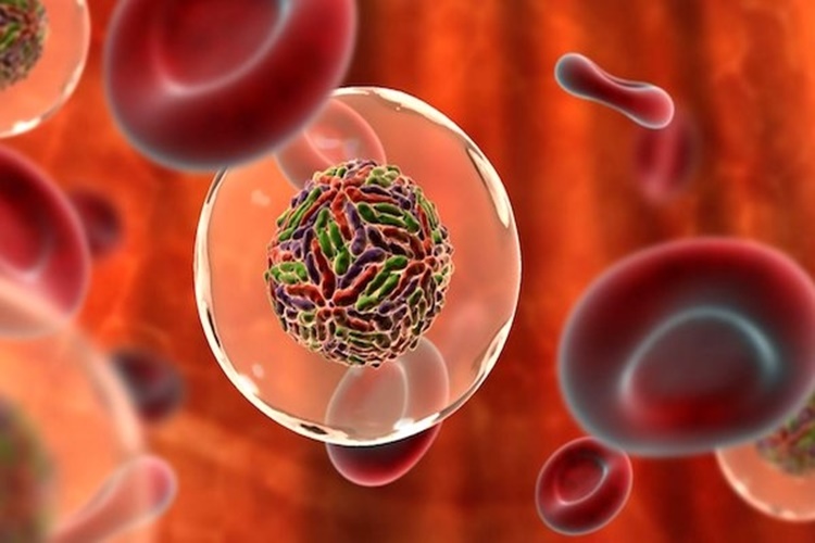 Hepatit C Hastası Çalışabilir Mi?