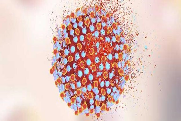 Hepatit C Nasıl Teşhis Edilir?